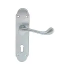 Oakley Lever on Backplate - Satin Chrome