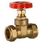 Pump Valve F.I. Gate Type 1 inch
