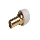Spigot/Socket Conversion 3/4x22mm