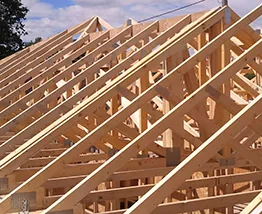 Roof Truses